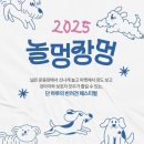 멍이펫 이미지