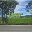동안성IC공인중개사사무소 이미지