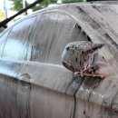 폼손세차장 이미지