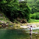 대자연낚시 이미지