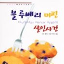 블루베리 출판사
