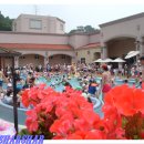 아산스파비스 이미지