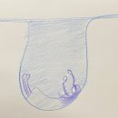 백장미사 이미지