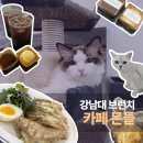 강남서로 | 용인 카페 몬들, 냥이 두 마리가 반겨 주는 디저트 카페 맛집