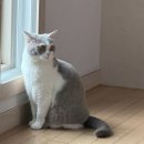 빼빼PC | 3월기 🌸 생일선물 언박싱 | 위기의 주부들 몰아보기 | 레고꽃 선물 | 연남동 삼티 | 또드에빼빼 | 유행...