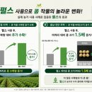 대승농약사(대승농자재) | 콩 비대와 수확량 증가, 실제 농가 사례로 확인된 펄스 후기