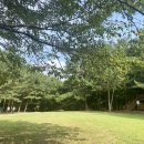 봉암동199 이미지