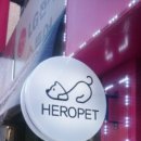 강남고양이 분양 히어로펫 네이버블로그