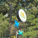 대후보건진료소 이미지