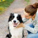 아이큐25시 이미지