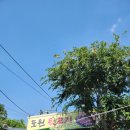 도원뒷고기 이미지