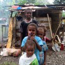 우림집투 이미지