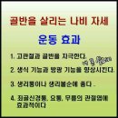 골반 살리는 나비자세 이미지