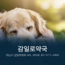 감일로약국 이미지