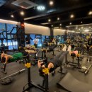 Fun Diet Gym 이미지