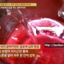 건능골농장 티스토리