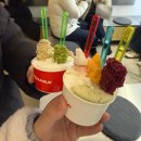 이마트 후문앞 버스정류소 옆 | 2026. 2. 안동에 가쓰요. 영하 10도.. / 유진찜닭 / 아차가 / 롯지호텔 디여라 / 시골갈비 / 말콥버거...