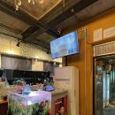 꿀돼지 | 홍대입구역 맛집 꿀돼지집 추천 후기! (메뉴, 가격, 위치)