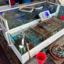 등대수산 이미지