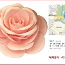 핑크메드 네이버블로그