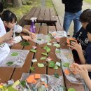 다목초등학교 이미지