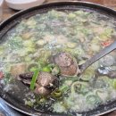바르미김치 | [대부도 맛집] 바르미 백합칼국수 후기 | 위치, 주차, 메뉴