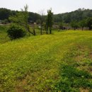 탄현공원 이미지