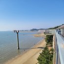 송림 | 충남 서천[장항 스카이워크] - 입장료, 송림산림욕장과 맥문동, 카페 후기