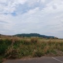 상모리-20 이미지