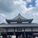 교토 | 교토 청수사 여행 후기 오사카 당일치기 도보 코스