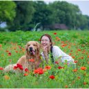 호수동물병원 이미지