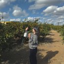 비빔사계 | 제주 산방산 여행코스 국수맛집 사계해안 미령이네 산방산 탄산온천