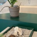 분당-181 이미지