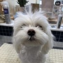 우리함개 이미지