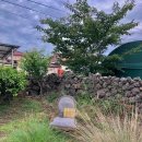 빌라노하마다 이미지