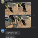 간식곤듀 이미지