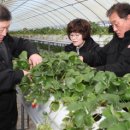 김남형농장 이미지