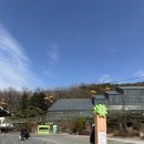 봉황대공원(도로안내판3) | 과천 서울대공원 동물원 방문 후기 에버랜드 대신 갈만한 곳 (요금 주차 정보)