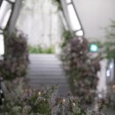 사브랑 | [본식 스냅] '르사브 웨딩' 빌라드지디 안양 촬영 후기