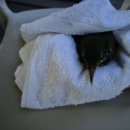 진도힐링하우스 이미지