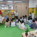 식물이야기 | 유치원 원예수업 추천, 그림책과 식물이 함께하는 특별한 이야기정원 수업 커피나무심기