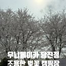 우니메이카 당진점 벚꽃 캠핑 서울 근교 조용한 캠핑장 개별 화장실 QM3차박 매드독키친툴세트 알리좌식...