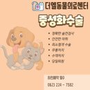 더엘동물의료센터 이미지
