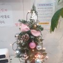 석사성모의원 이미지