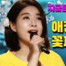 애정이꽃피던시절/류원정(나훈아) 이미지