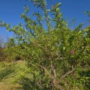 지리산고을 | 지리산펜션 지리산학고을펜션 이용후기