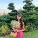 별장서홍 이미지