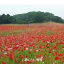 송이목장 이미지