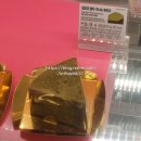 (주)세인바이오 | 05월 13-15일, 혼자서도 잘해(요. 하지만, 스트레스는 받아)요! A cat person's 냥이스러운 나날 😺 feat...