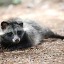 송사농장 이미지